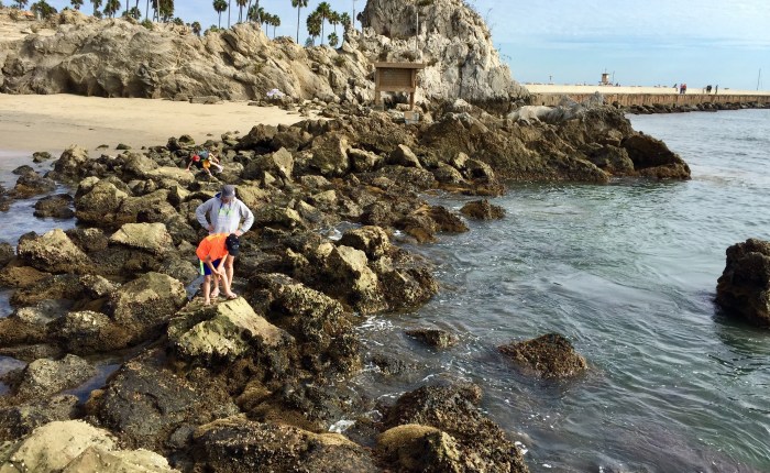 Day 32 – Thankful for the Boys’ Appreciation of&nbsp;Nature