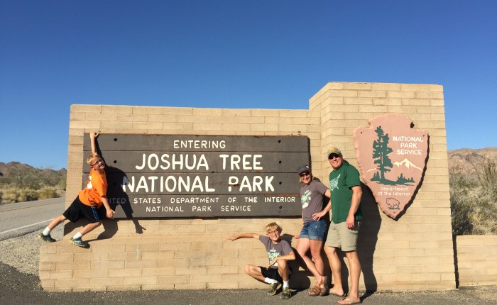 Day 37 – Thankful for a Great Day at Joshua Tree National&nbsp;Park