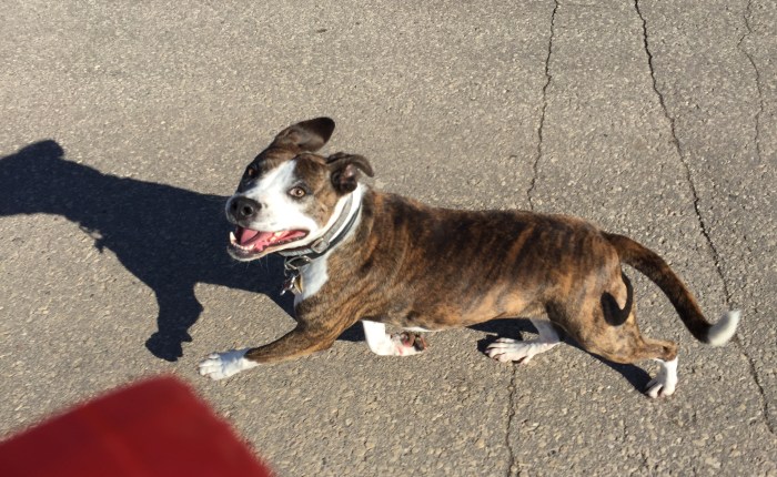 Day 169 – Thankful for a Running Date with One of my Favorite Girls (shh… Don’t Tell&nbsp;Becky!)