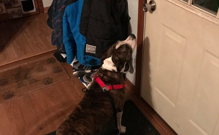 Day 468 – Thankful for LuLu Reminding Me to Enjoy My&nbsp;Run