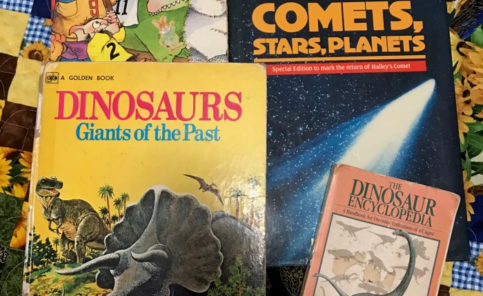 Day 518 – Thankful for the Time Capsule That is Gavin’s&nbsp;Room