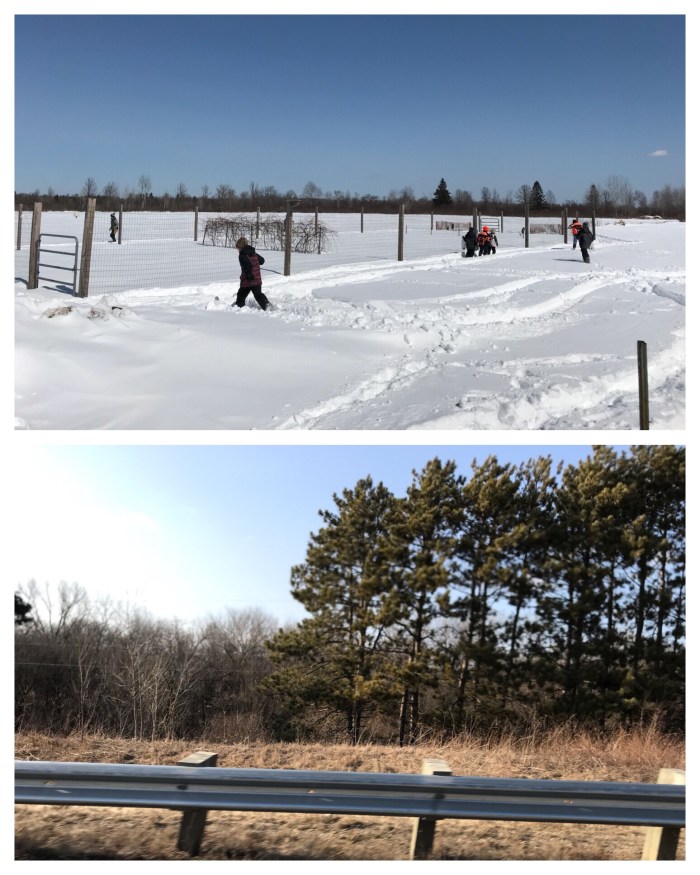 Whoever would’ve thought you could go from the top to bottom pic just by driving south a few hours?  ;)