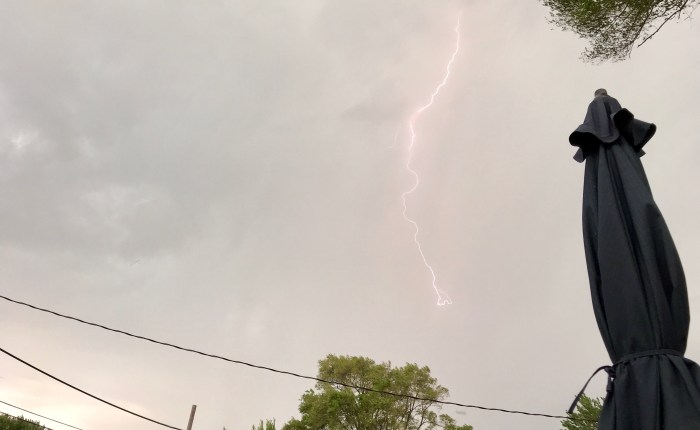 Day 608 – Thankful for Lightning Shows, Turtles, and a Shared Appreciation of&nbsp;Nature