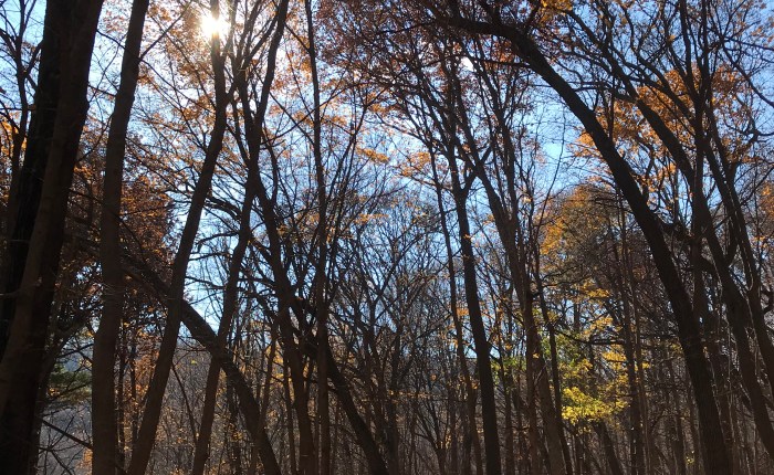 Day 766 – Thankful for a Seed Planted Last Year, an Impromptu Trail Run, and a Surprise Trail Running&nbsp;Buddy