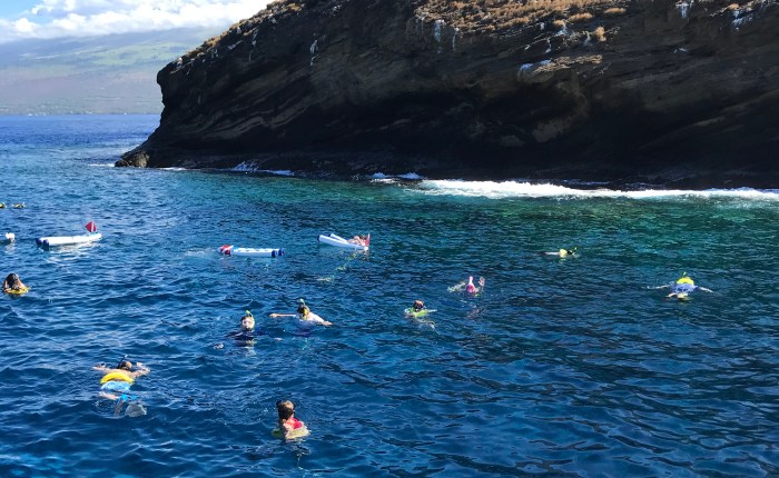 Day 821 – Thankful for The Boys’ First Snorkel Experience, Making Them Take Swim Lessons, and a BIG Tide Pool&nbsp;Find