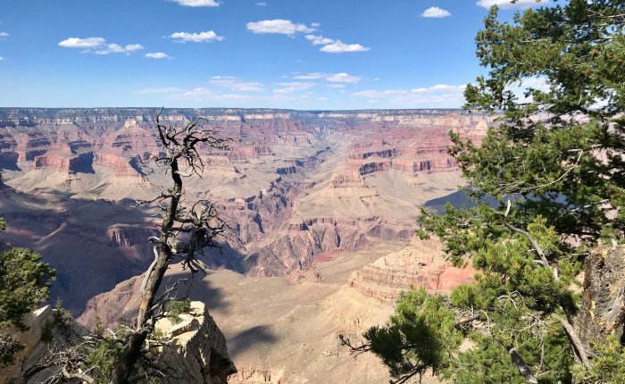 Day 1,068 – Thankful for a Different  Perspective of Patience & a Line of Ancient&nbsp;Wisdom