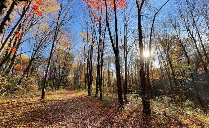 Day 1,854 – Thankful for a Filling in the Gap and Gavin’s Cheering&nbsp;Section