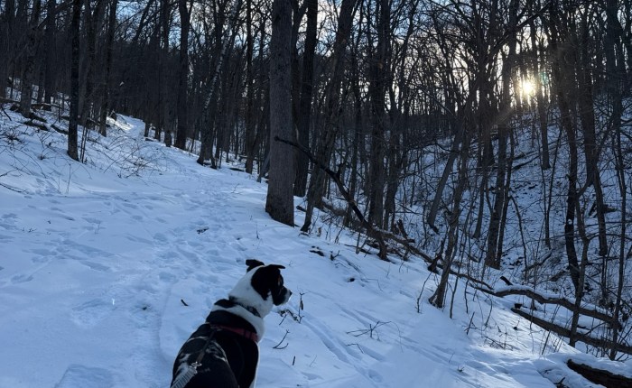 Thankful for Purpose and Trail Runs