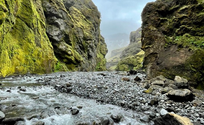 Thankful for Introspection, Awareness, & Emotion Burst from a Song