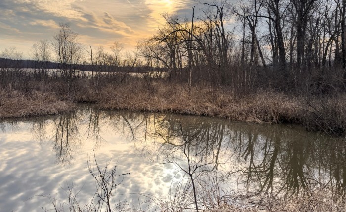 Thankful for a Day of Outdoor Chill